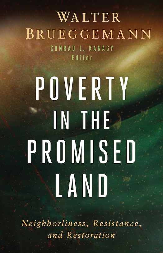 Front cover_Poverty in the Promised Land