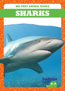 Couverture_Sharks