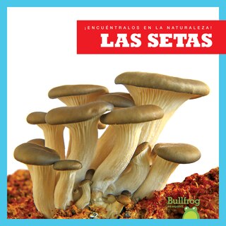Front cover_Las Las Setas (Mushrooms)