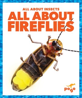 Couverture_All about Fireflies