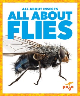 Front cover_All about Flies
