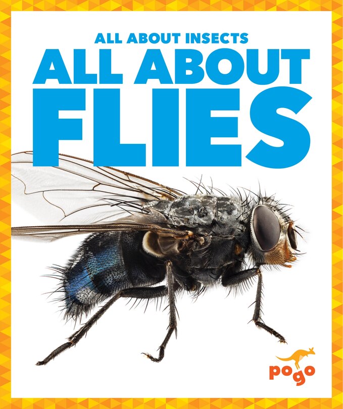 Front cover_All about Flies