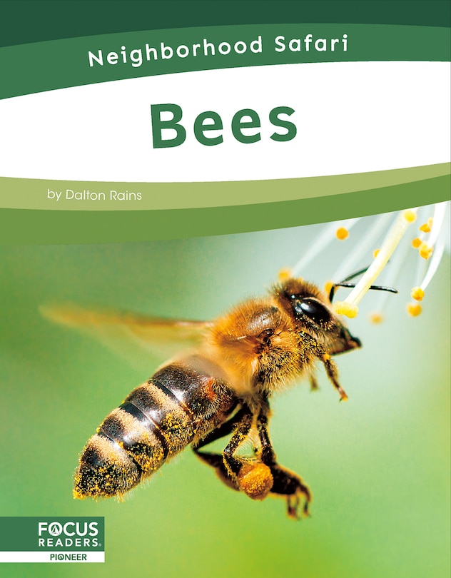 Couverture_Bees