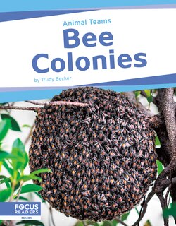 Front cover_Bee Colonies