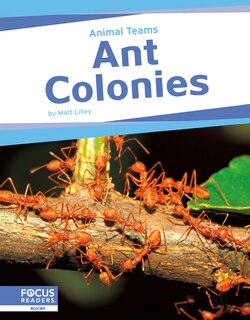 Front cover_Ant Colonies