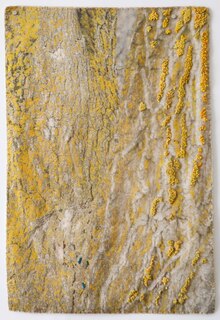 Couverture_Laurie Lambrecht