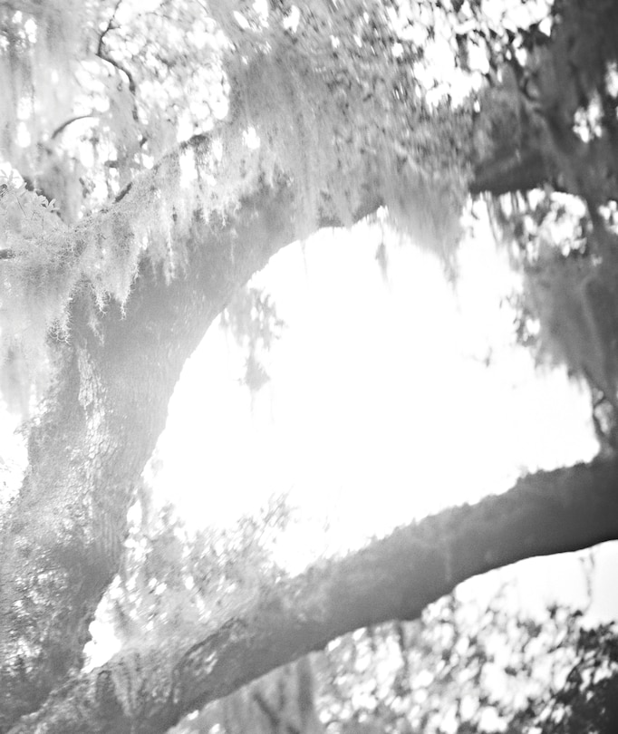 Front cover_Linda Foard Roberts: Lament | A Photographic Journey Through Race, History, and Memory in the American South