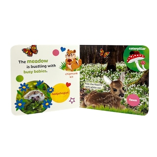 Front cover_Touch & Feel Forest Babies