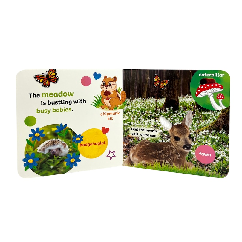 Front cover_Touch & Feel Forest Babies