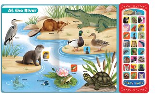 Front cover_Animals (See Hear Learn)