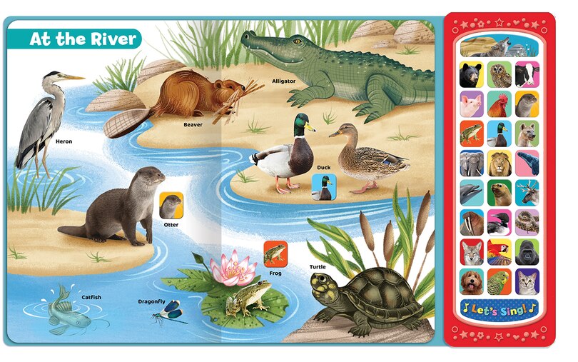 Front cover_Animals (See Hear Learn)