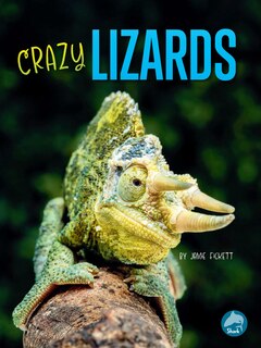 Couverture_Crazy Lizards