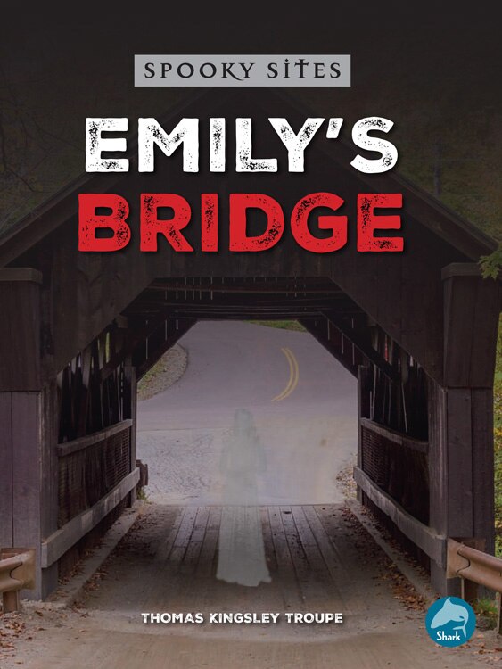 Front cover_Emily's Bridge