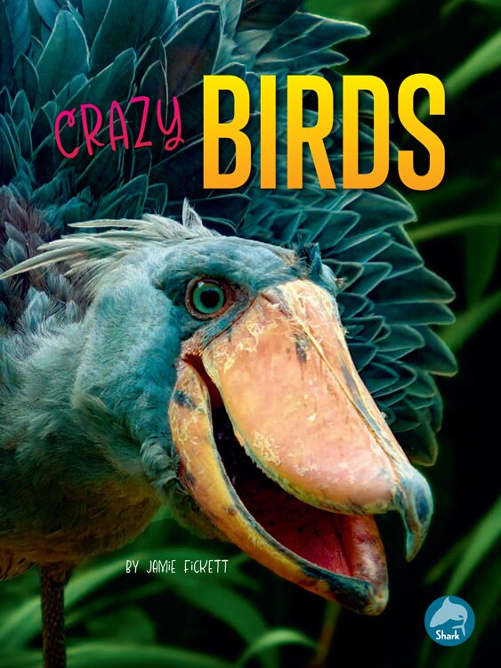 Couverture_Crazy Birds
