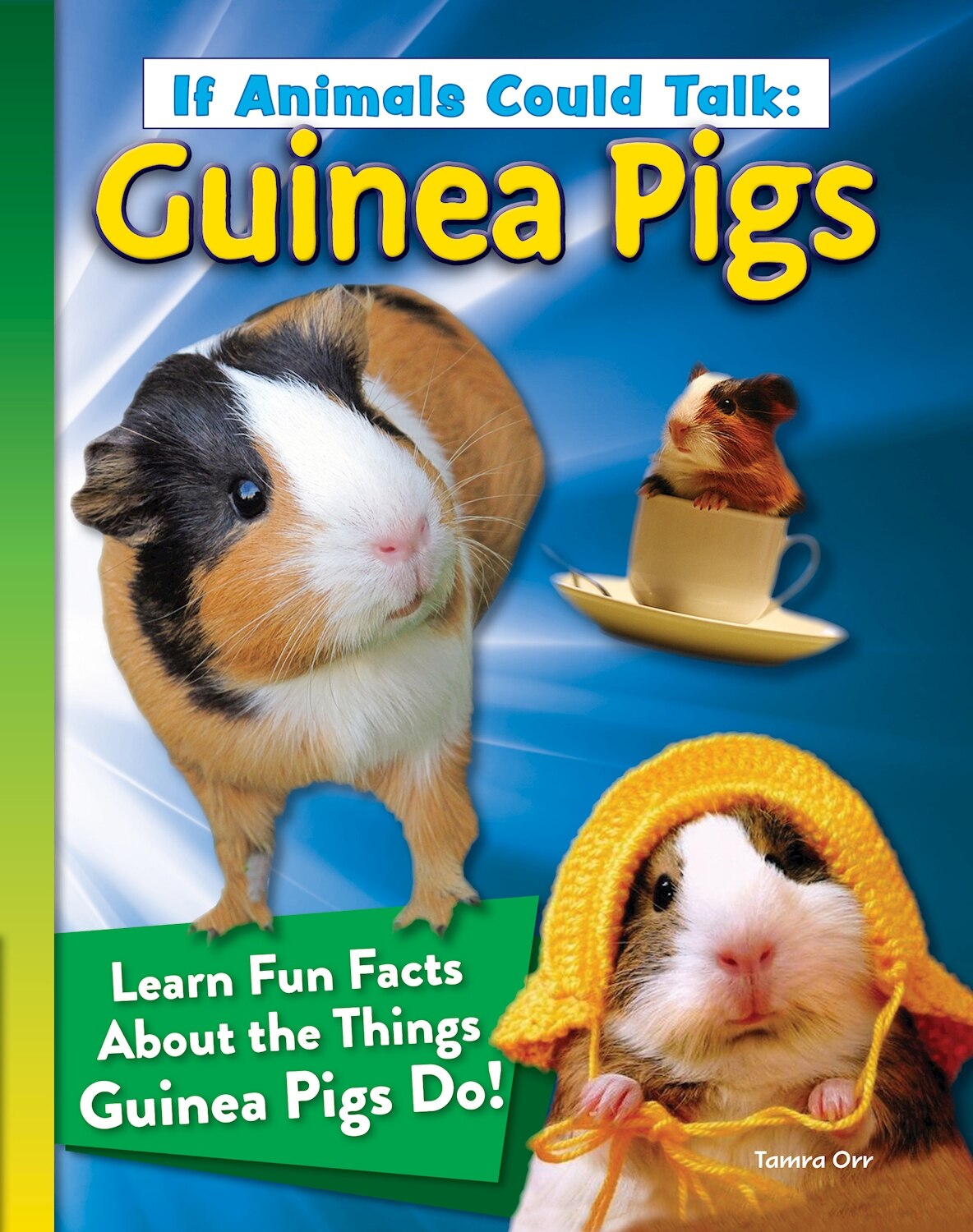 Fun things to do with a sale guinea pig