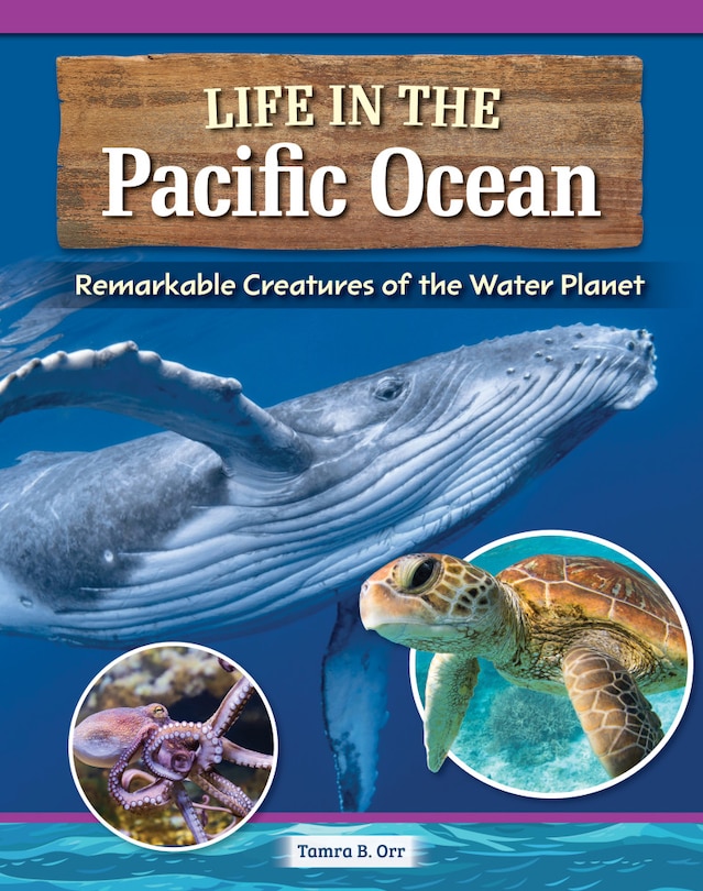 Couverture_Magnificent Creatures of the Pacific Ocean