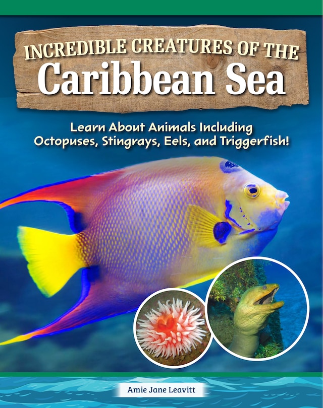 Front cover_Incredible Creatures of the Caribbean Sea