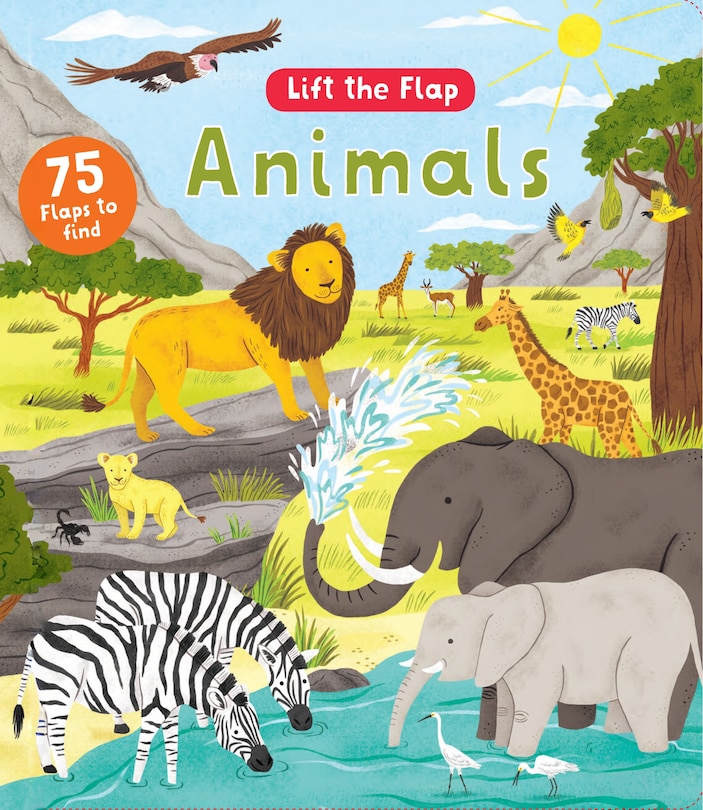 Front cover_Animals Lift and Discover