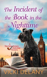 Front cover_The Incident of the Book in the Nighttime