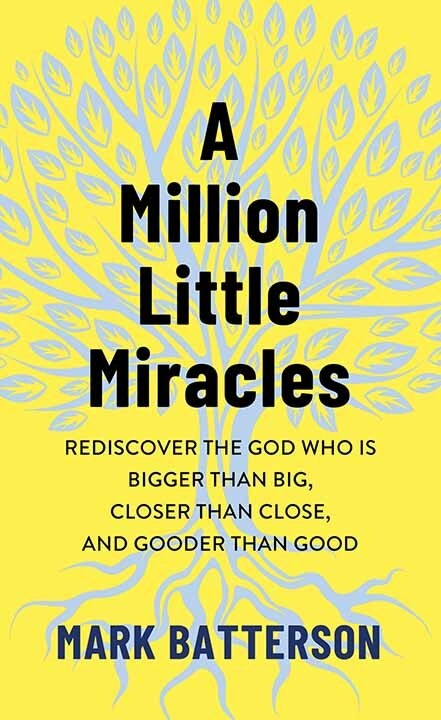 Couverture_A Million Little Miracles