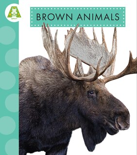 Front cover_Brown Animals