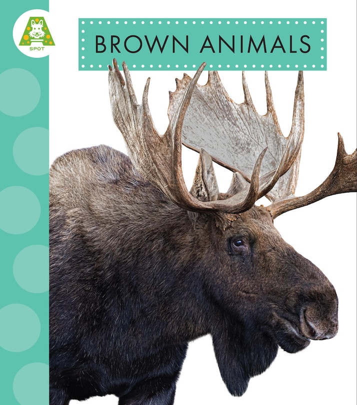 Front cover_Brown Animals
