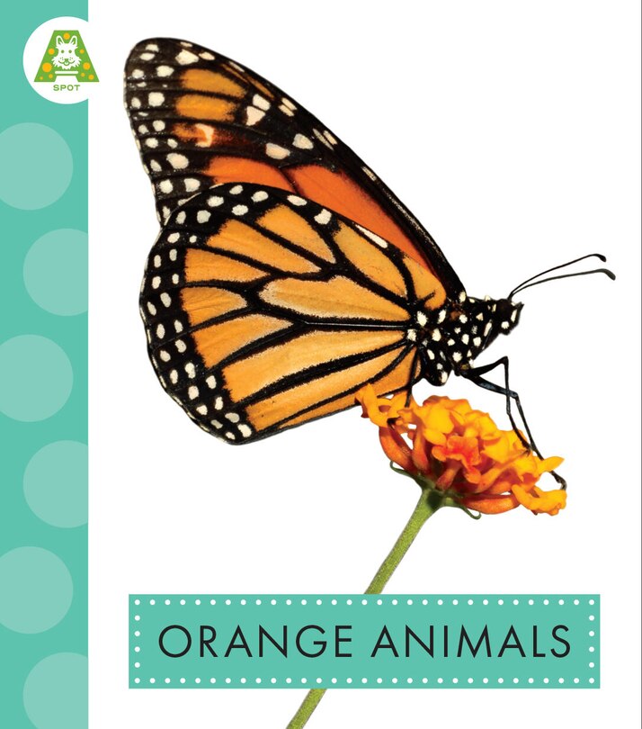 Front cover_Orange Animals