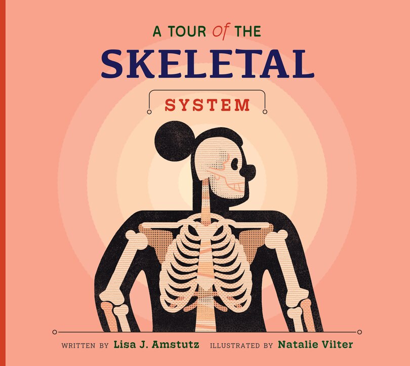 Front cover_A Tour of the Skeletal System