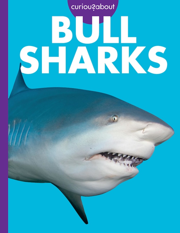 Front cover_Curious about Bull Sharks