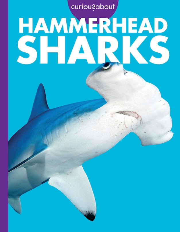 Couverture_Curious about Hammerhead Sharks
