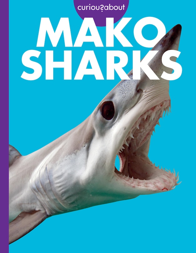 Couverture_Curious about Mako Sharks