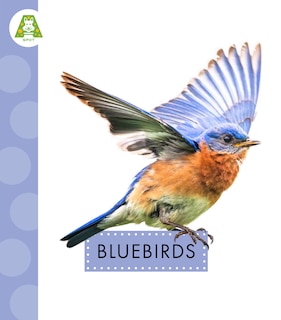 Couverture_Bluebirds
