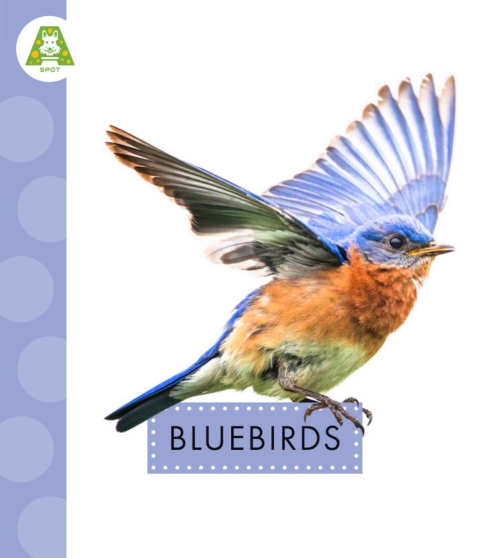 Couverture_Bluebirds