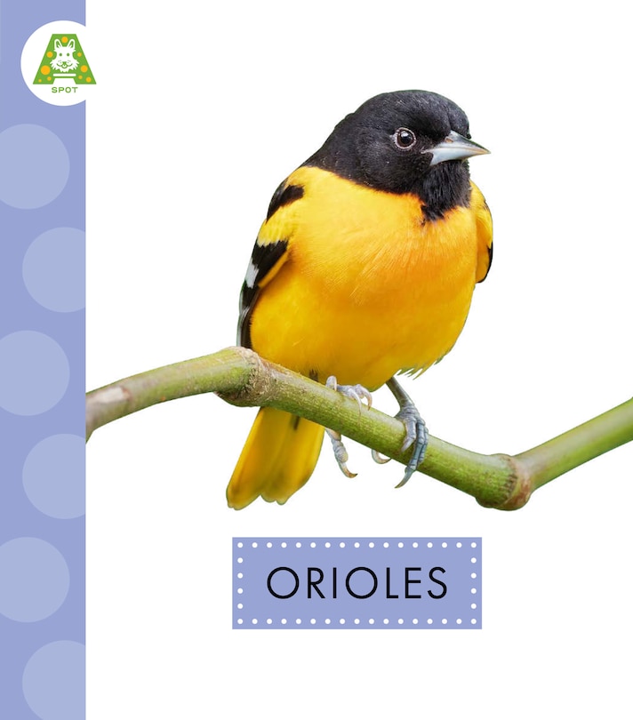 Front cover_Orioles