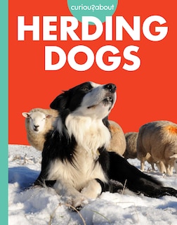 Front cover_Curious about Herding Dogs