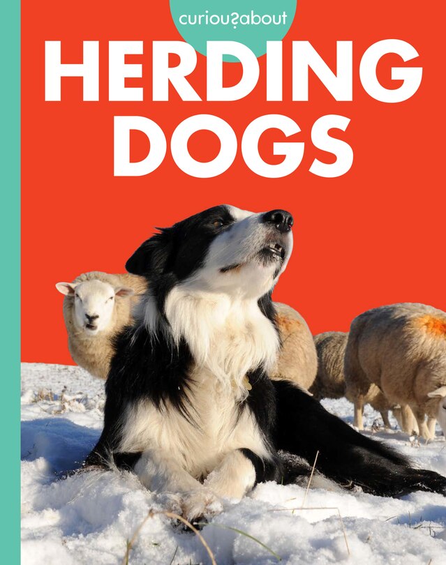 Front cover_Curious about Herding Dogs