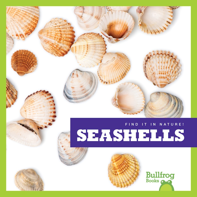 Front cover_Seashells