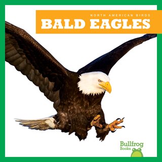 Couverture_Bald Eagles