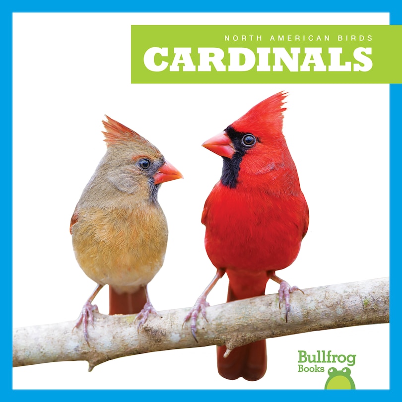 Couverture_Cardinals