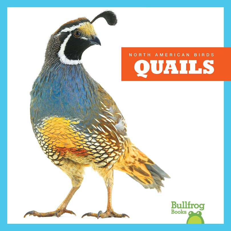Couverture_Quails