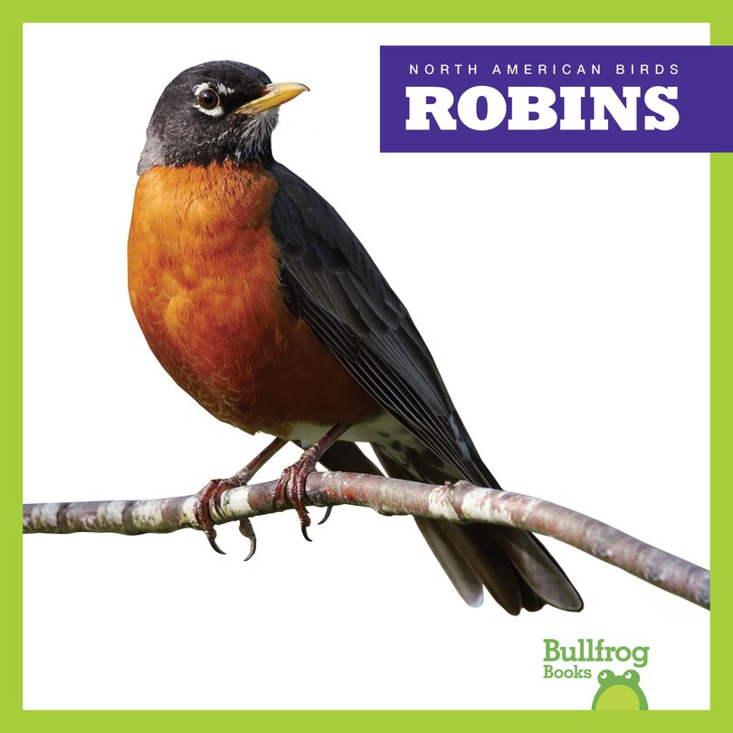 Couverture_Robins