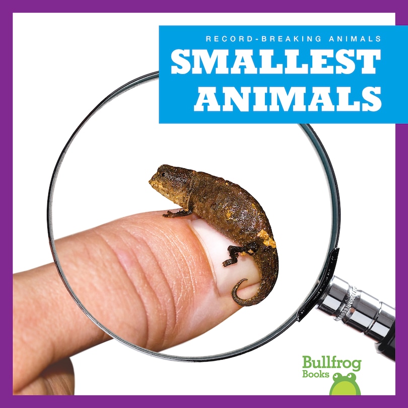 Front cover_Smallest Animals