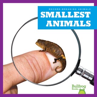 Front cover_Smallest Animals