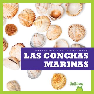 Front cover_Las Conchas Marinas (Seashells)