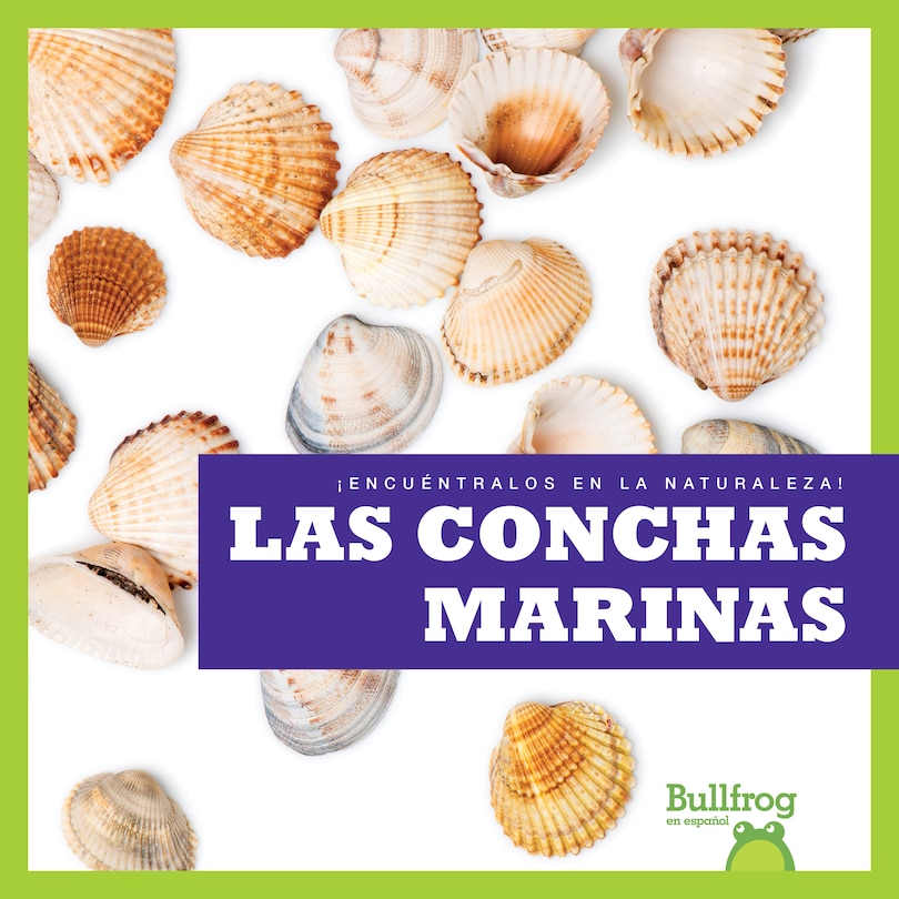 Front cover_Las Conchas Marinas (Seashells)