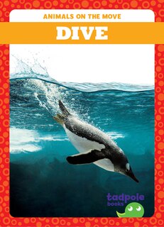 Front cover_Dive