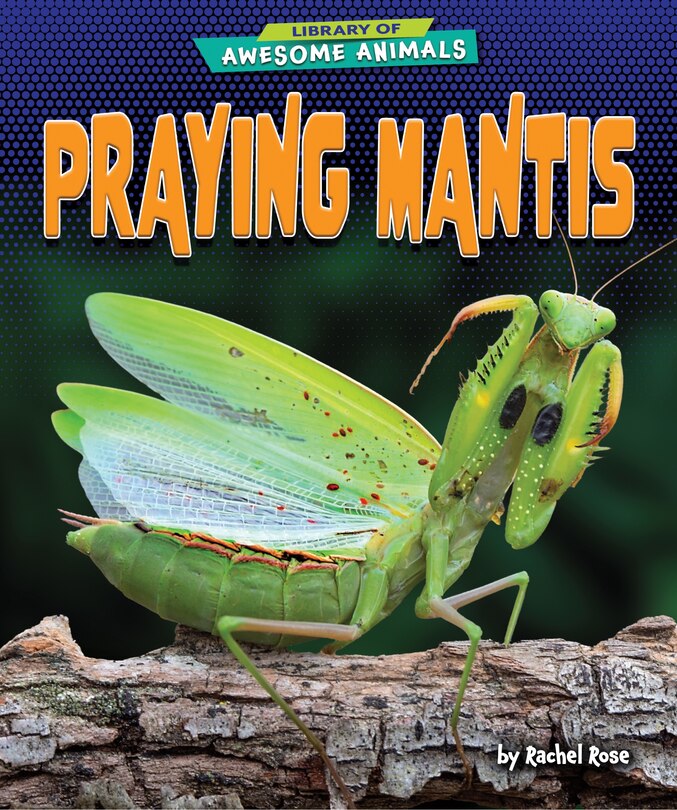 Front cover_Praying Mantis