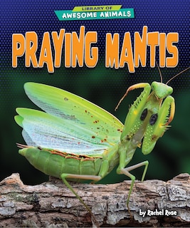 Couverture_Praying Mantis