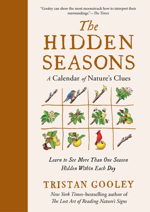 Couverture_The Hidden Seasons