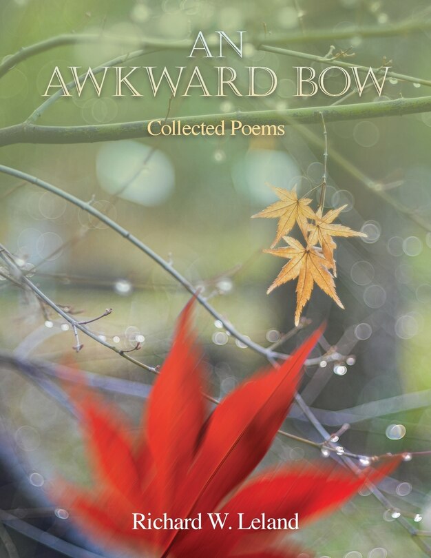 Front cover_An Awkward Bow